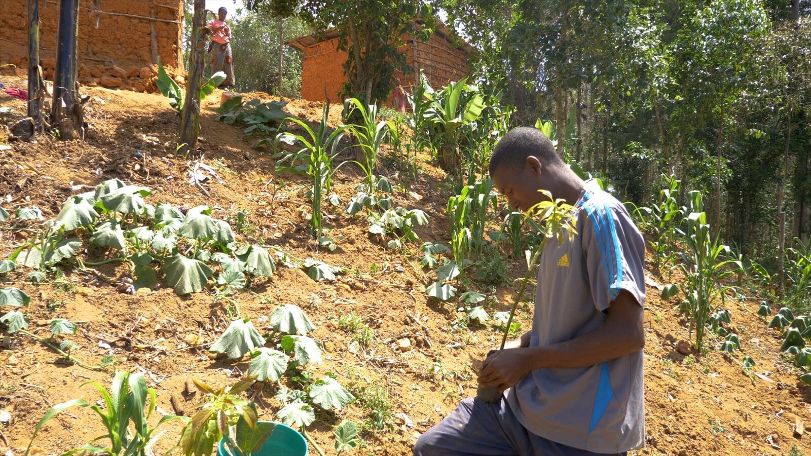 Enriching Venezuela's Future: The Remarkable Benefits of Tree Planting